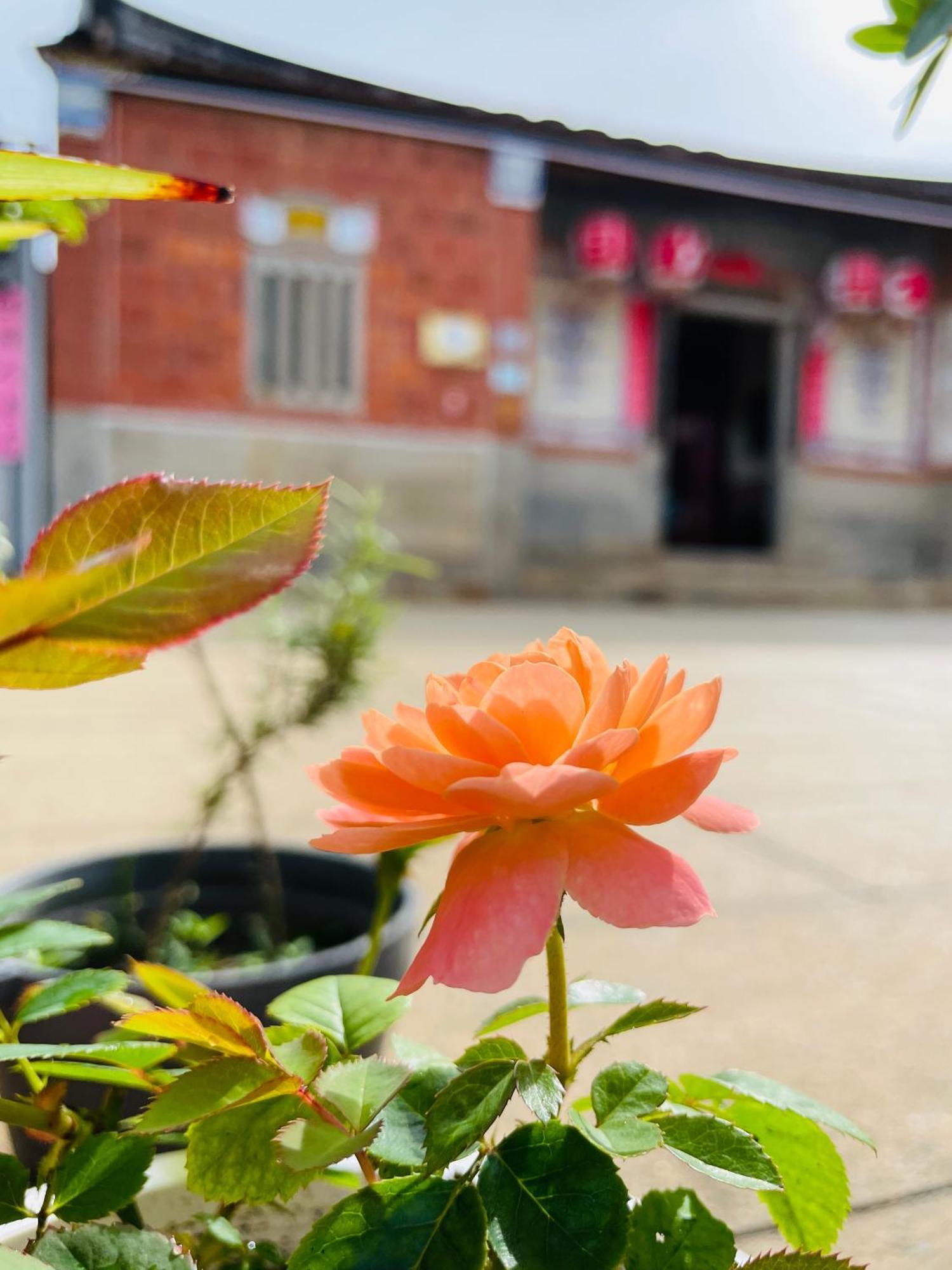 金城水调歌头住宿加早餐旅馆 外观 照片